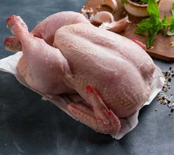 گوشت-مرغ گوشت مرغ